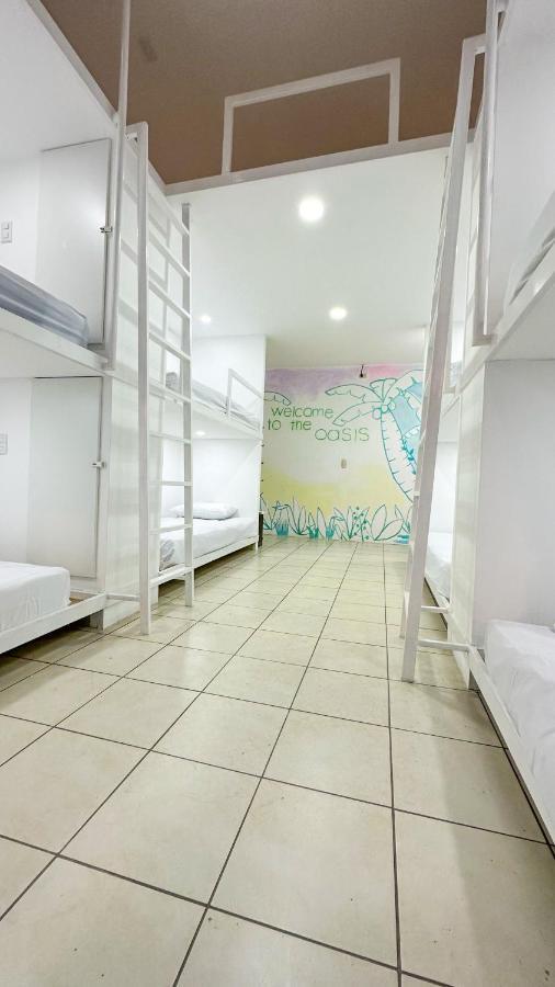 סן חוזה Sjo Oasis Hostel מראה חיצוני תמונה