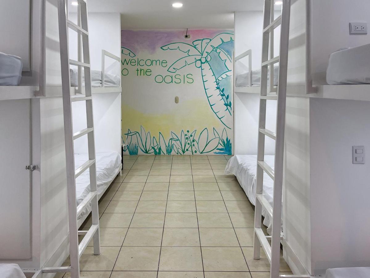 סן חוזה Sjo Oasis Hostel מראה חיצוני תמונה