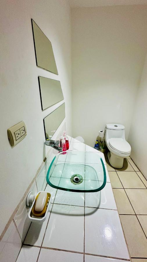 סן חוזה Sjo Oasis Hostel מראה חיצוני תמונה