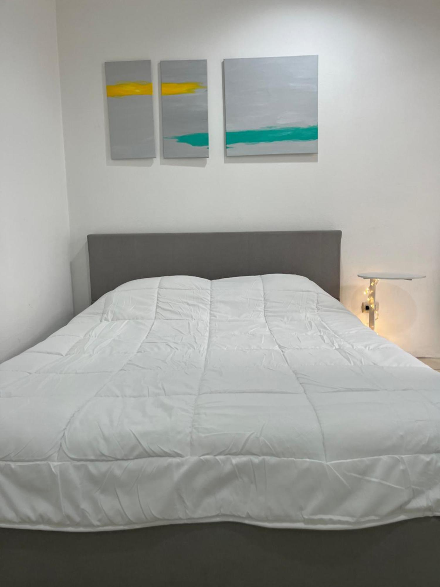 סן חוזה Sjo Oasis Hostel מראה חיצוני תמונה