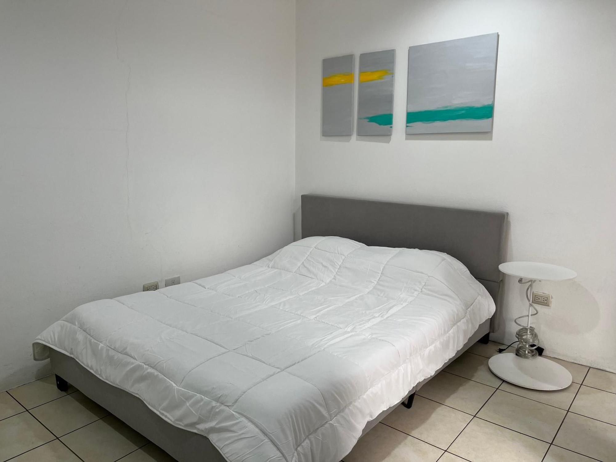 סן חוזה Sjo Oasis Hostel מראה חיצוני תמונה